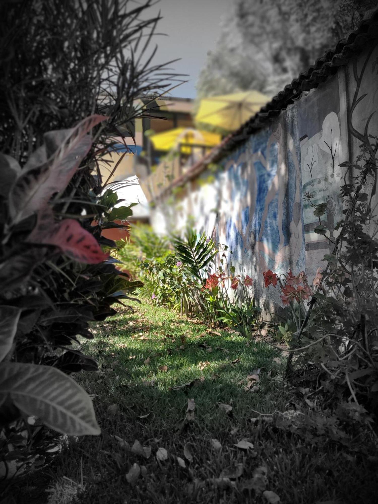 Hotel Art & Coffee Santa Cruz La Laguna Esterno foto